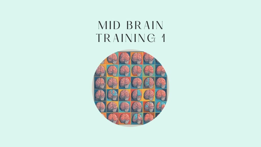 mid brain training 1