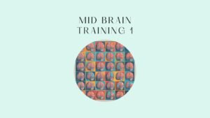 mid brain training 1