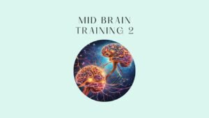 mid brain training 2