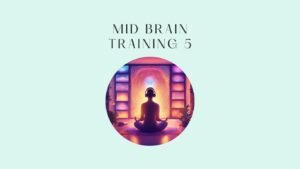 mid brain training 5