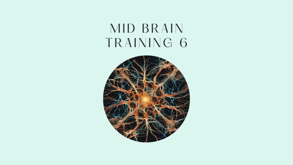 mid brain training 6