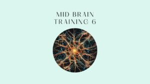 mid brain training 6