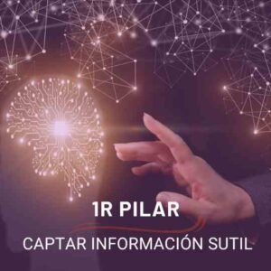 primer pilar vision intuitiva: captar informaciones sutiles