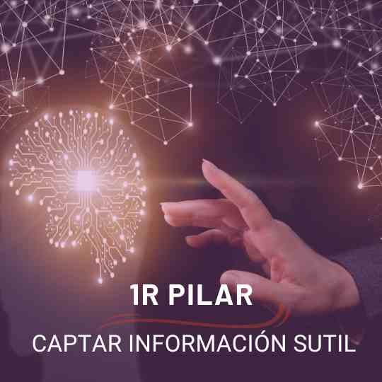 primer pilar vision intuitiva: captar informaciones sutiles
