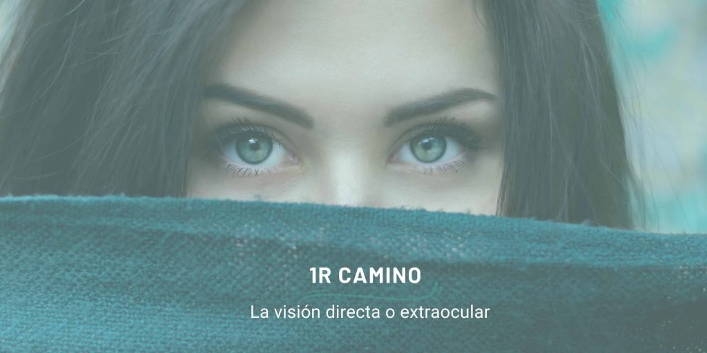 la visión directa o extraocular